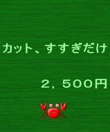 カット、すすぎだけ   　２，５００円